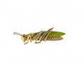 18K YELLOW GOLD, ENAMEL, DIAMOND & EMERALD BROOCH, PIN, PENDANT